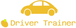 Driver Trainer